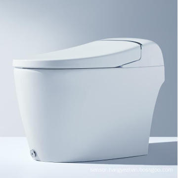 S50  Cheap Price Smart Toilet Sets , Chinese Toilet Video, One piece Dual-Flush wc Toilet Tube